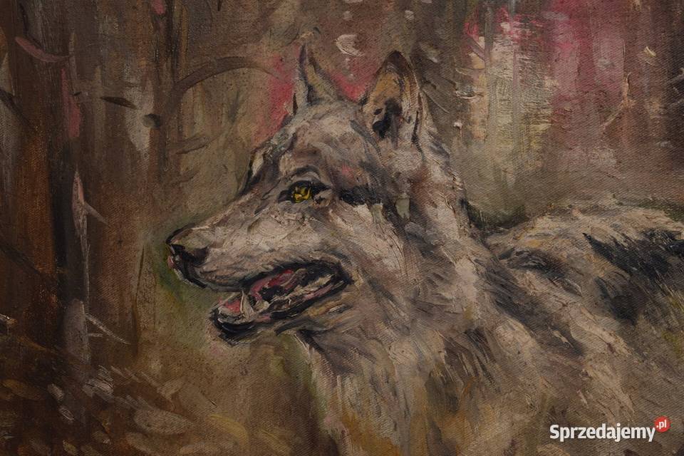 J Fałat Biegnący Wilk Wilczur Natura Polski sprzedam