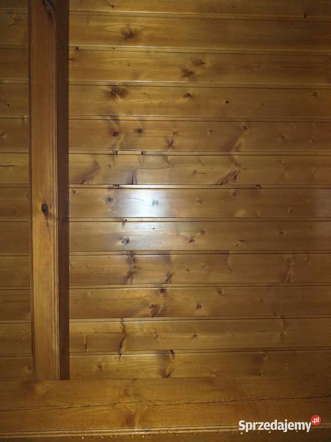 Boazeria świerkowa sprzedam