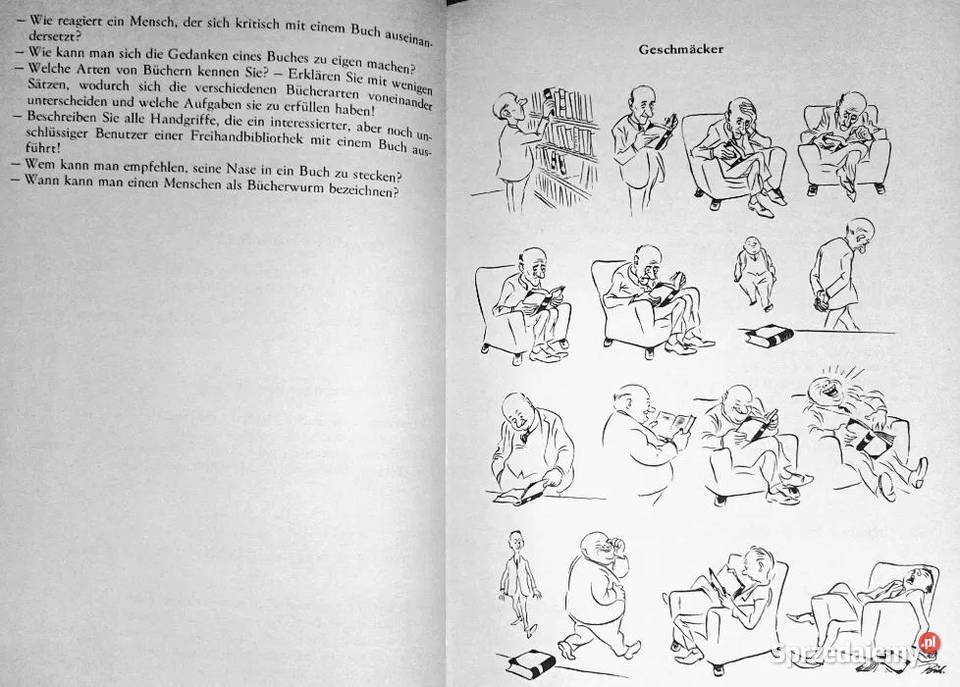 Bildergeschichten im Deutschunterricht fr miękka