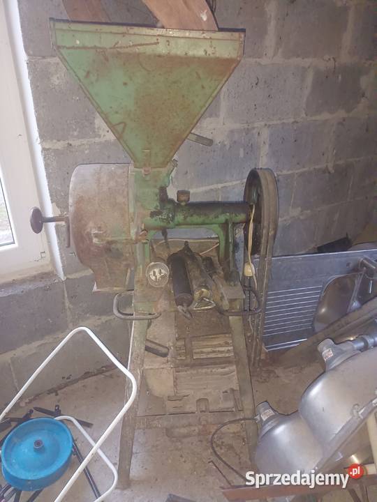 Śrutownik kamienny Karczew