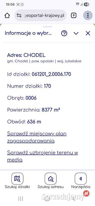 Sprzedam las w Chodlu 7zł/m2 Chodel
