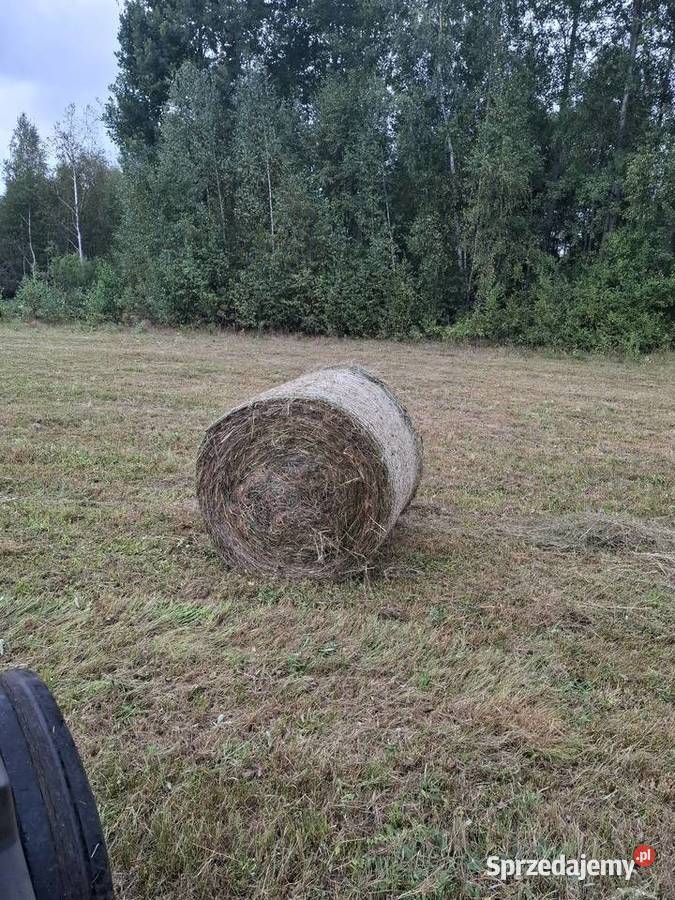 Sprzedam siano w belach