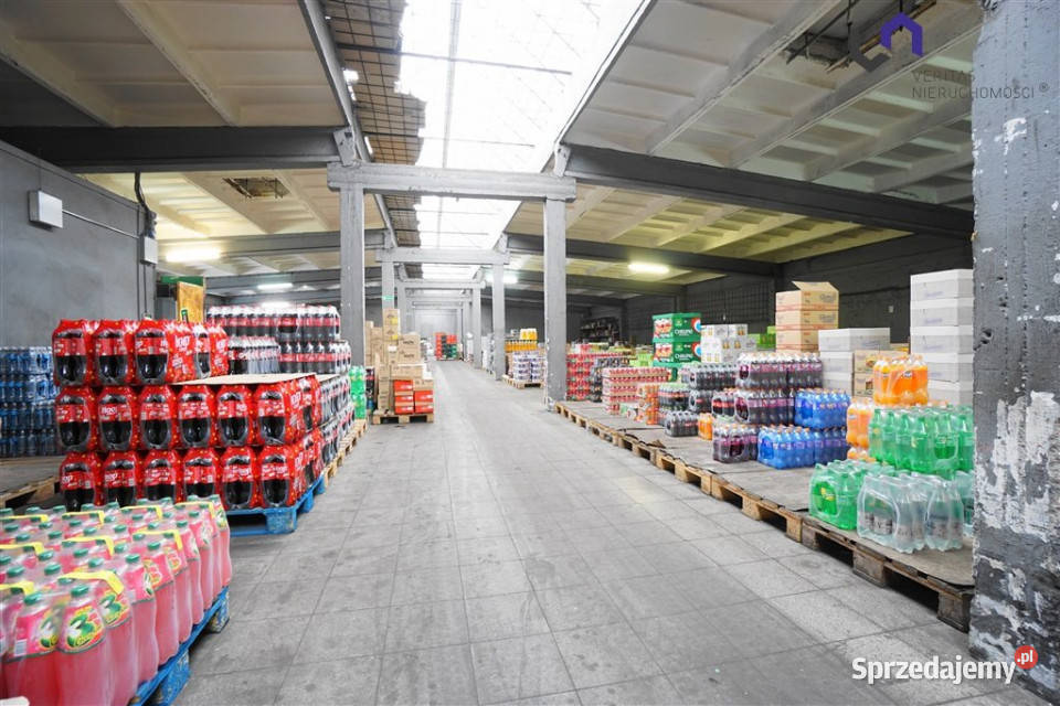 Lokal Katowice 600m2 Wynajem