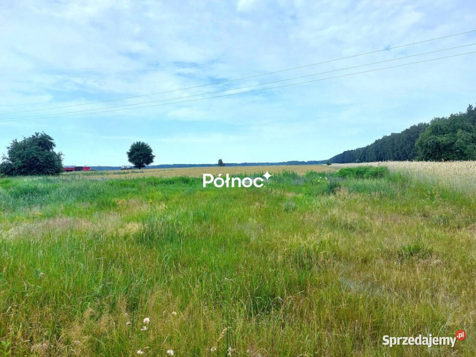 Tania działka pod zabudowę Michałki gm Rokitno
