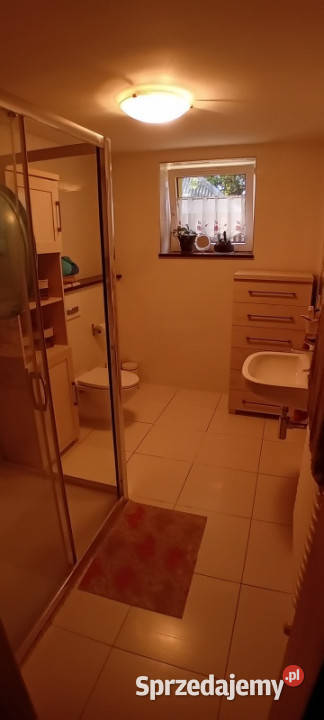 Dom 120m2 duża działka z potencjałem Czarnożyły