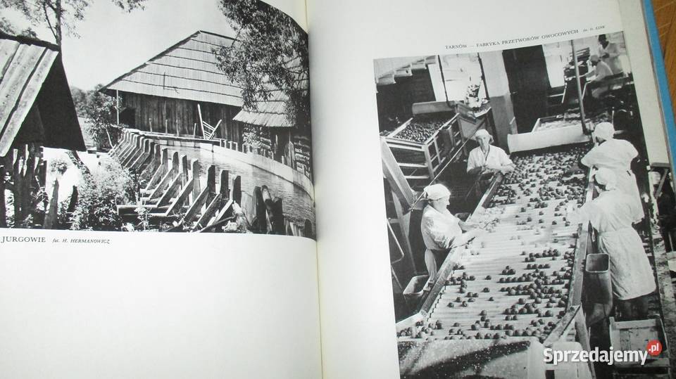 Ziemia krakowska 1965 album krajobraz kultura przyroda, krajobrazy sprzedam