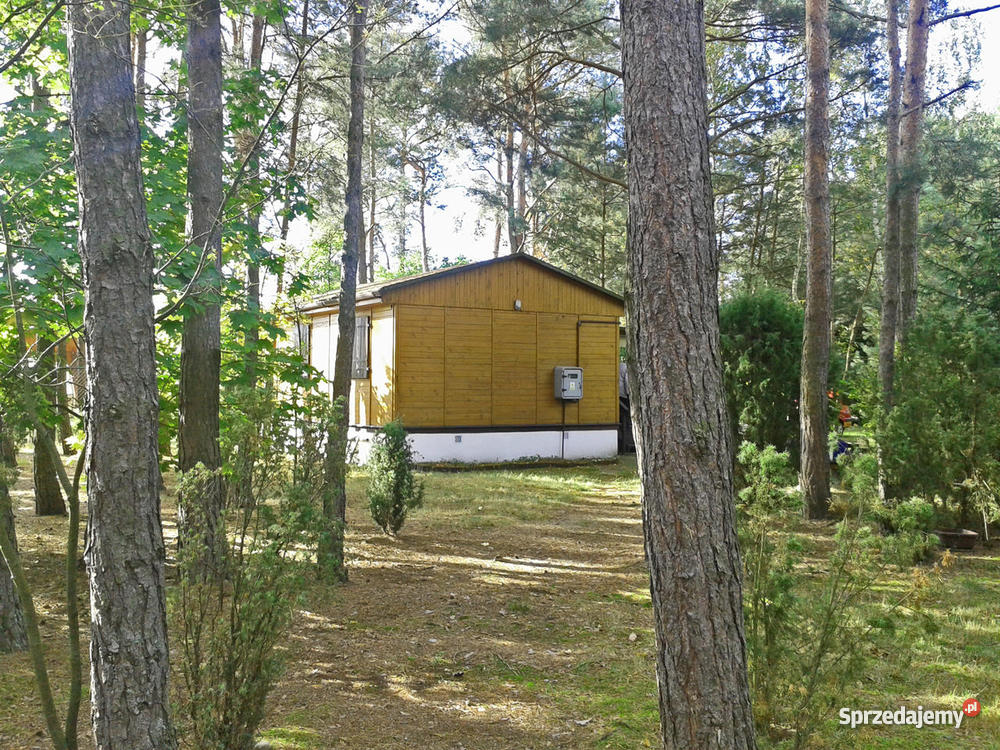 leśna działka z domkiem Błędowo kPomiechówka Błędowo