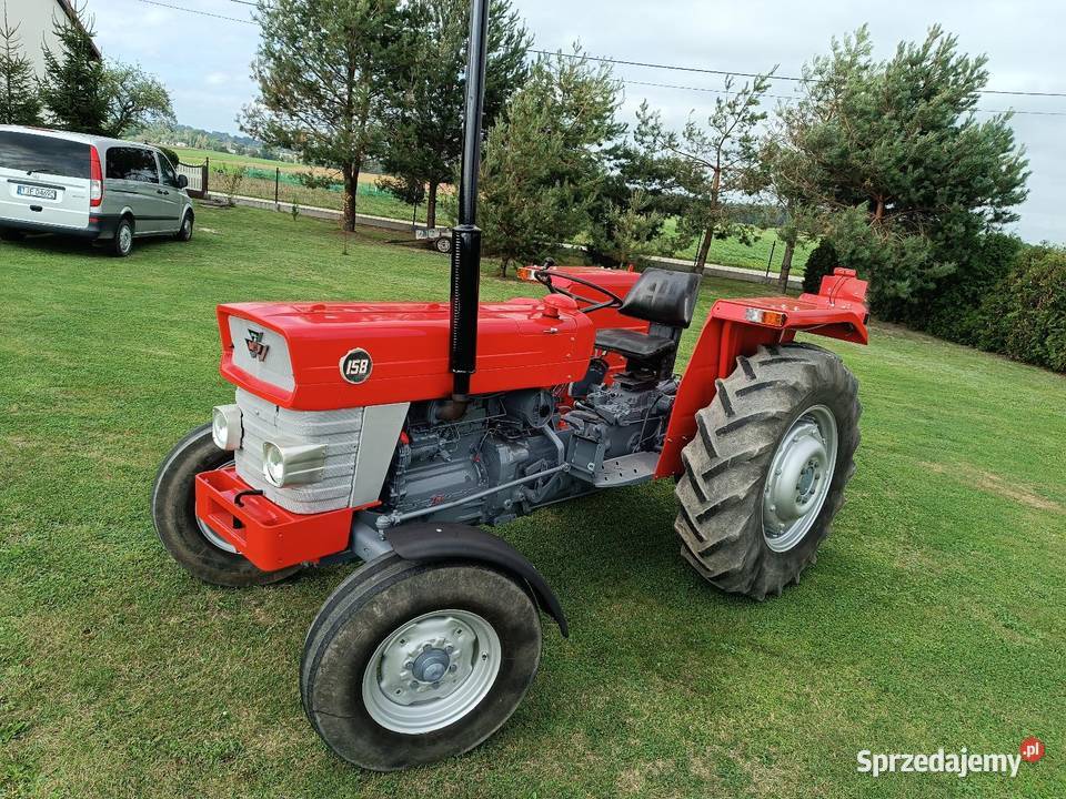 Massey Ferguson 158 zarejestrowany Chlewice