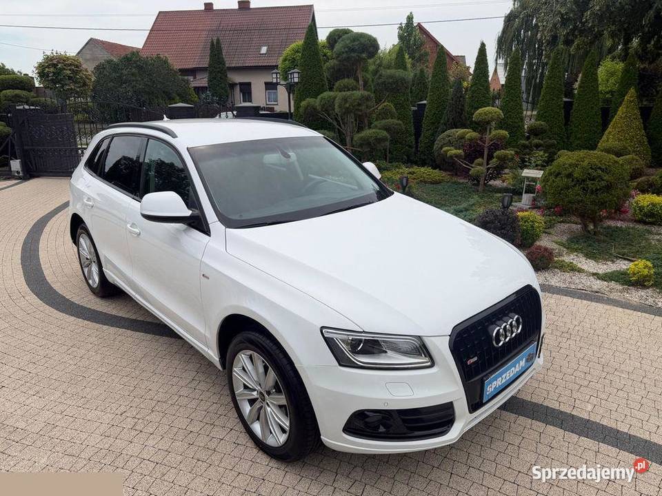 Audi Q5 20 TDI Quattro 177 2014r Mozliwa zamiana wielkopolskie