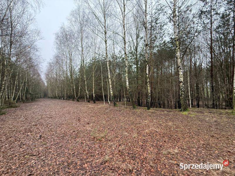 działka z warunkami zabudowy w spokojnej telefon Stawek sprzedam