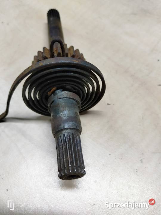 Komar jajko wałek startera Łubno