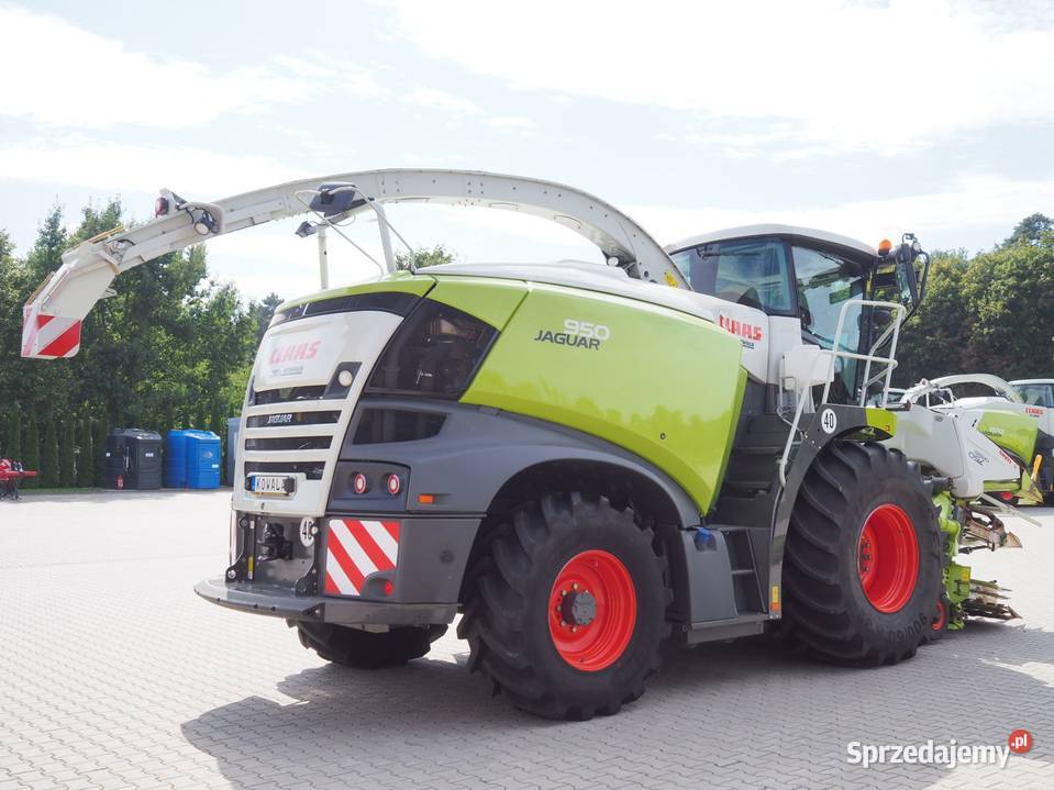 Claas Jaguar 950 4WD Orbis 750 Sieczkarnia Stęszew