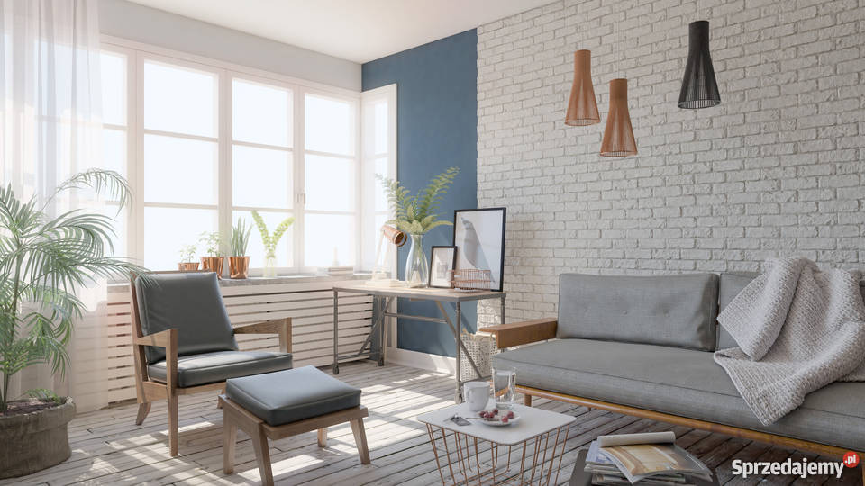 GIPS EKSTRA BIAŁY MODELOWYCERAMICZNY NOWY LĄD śląskie Katowice