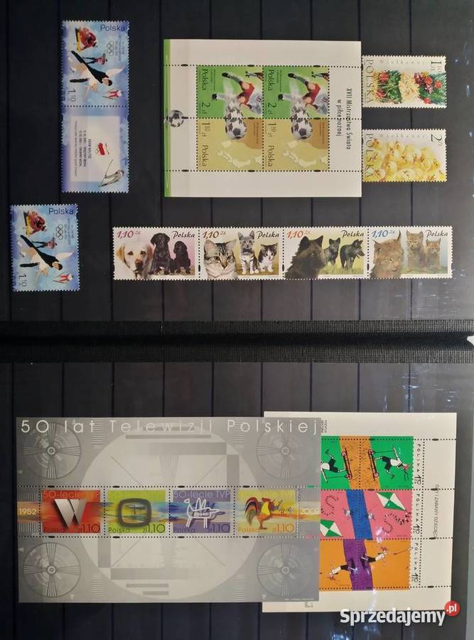 Polskie rocz 2000 Góra sprzedam