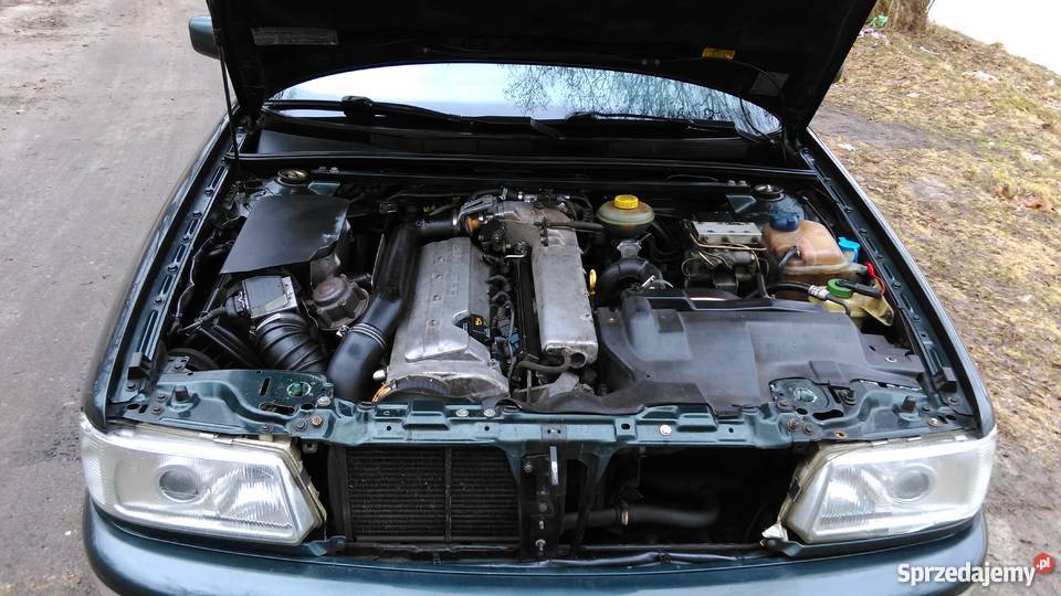 aud s2 quattro zielony Lębork