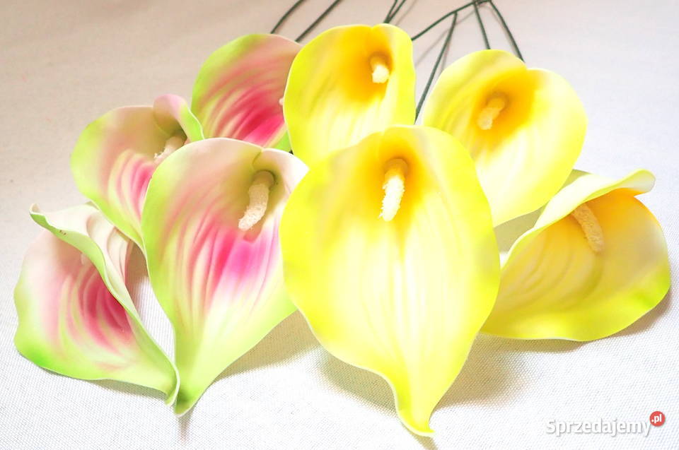 Kalia sztuczna wyrobowa piankowa do bukietów 6 Siewierz