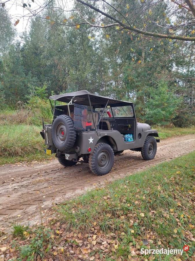 Jeep Willis M38A1 Rok produkcji 1953 Zamość