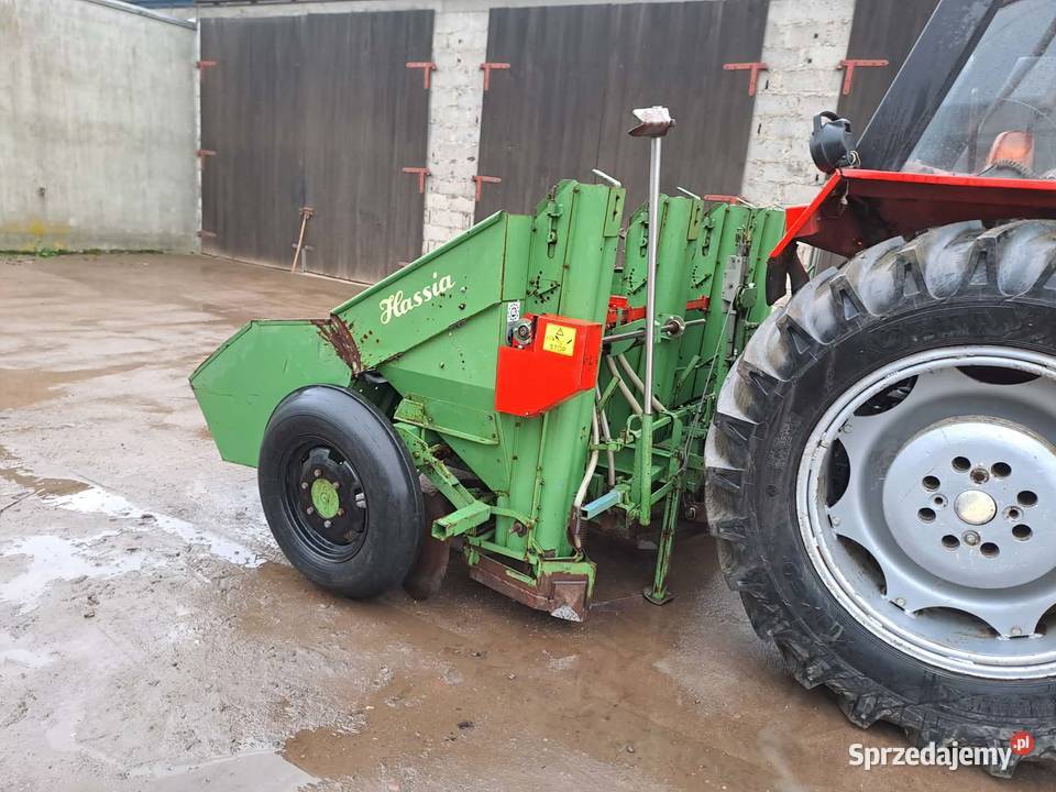 Sadzarka 4 rzędowa Hassia 4x75 sprzedam