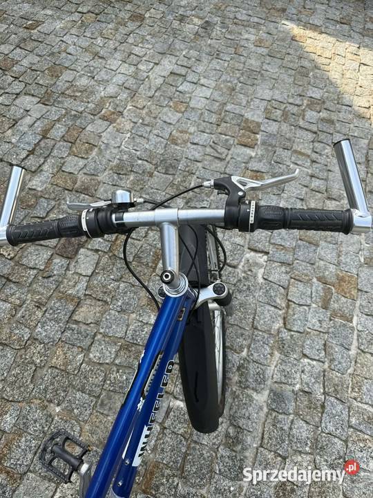 Rower damski Wheeler