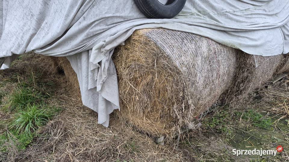 Siano słoma Zamość