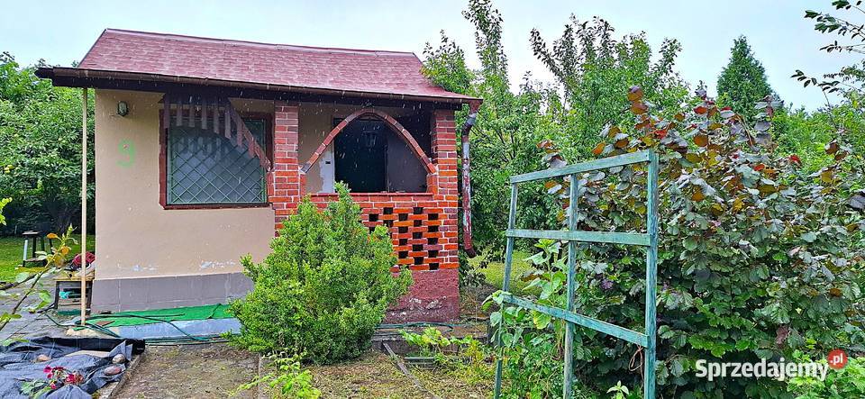 Sprzedam działkę ROD w Żaganiu Sprzedaż lubuskie Żagań sprzedam