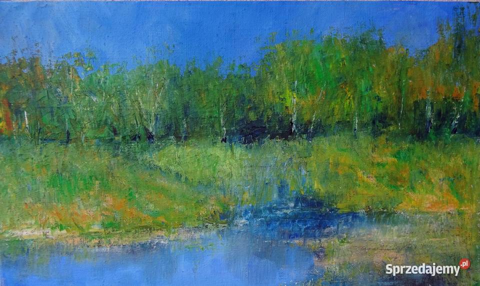 Polesie Olej na płótnie 50 X 30 małopolskie Krynica-Zdrój
