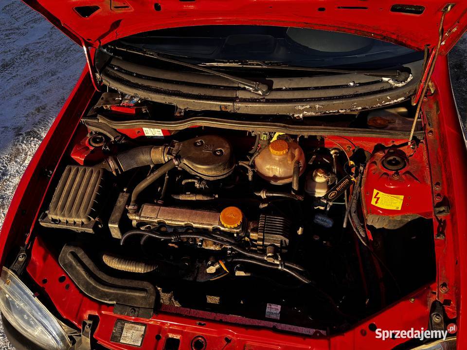 Opel Corsa B 1 właściciel Biała Podlaska