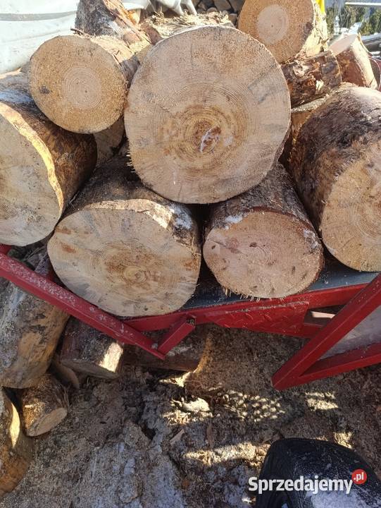 Drewno opałowe sosna suche Opał Bytom