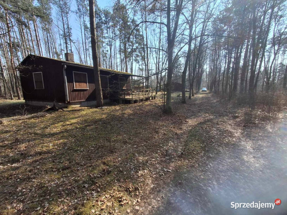 Grunt 2800m2 Sięganów 45m