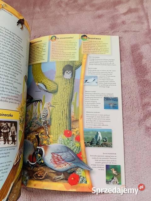 Ptaki Poszukiwacze Edward S Brinkley