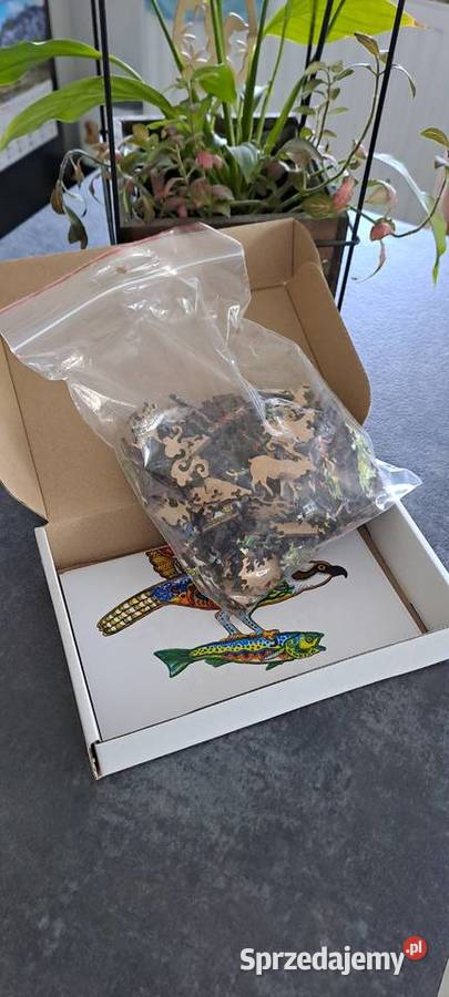 Nowe Puzzle Drewniane Rybołów XXL super na Ząbki