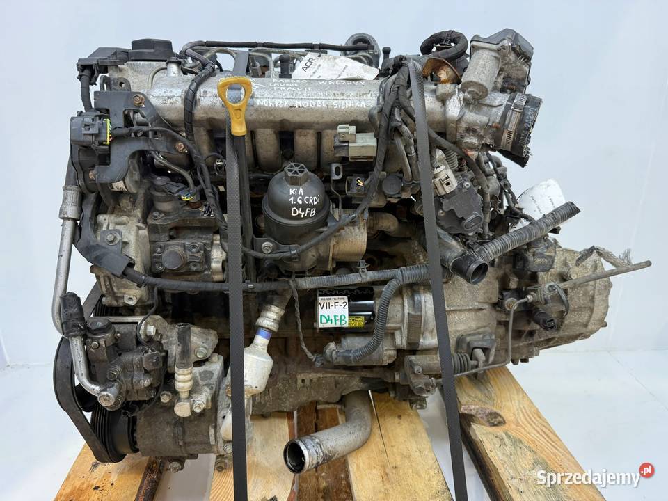 SILNIK D4FB Hyundai i30 ix20 Elentra IV 16 CRDI osobowe Chełm
