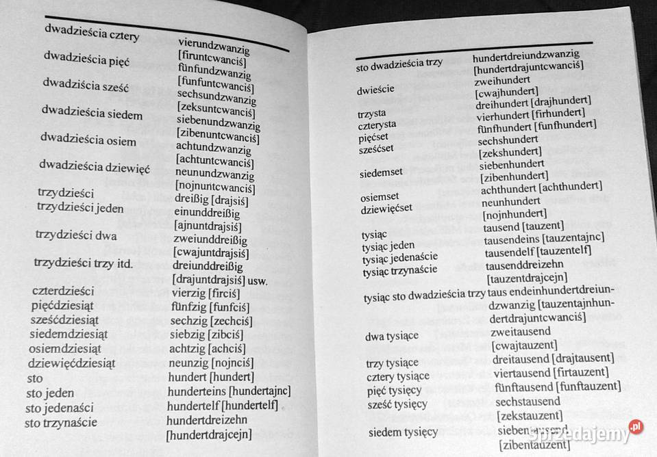 Rozmówki polskoniemieckie Marta Korzeniowska miękka Chełm