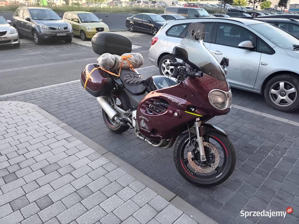 Triumph Trophy 9001200 czasza z lampą