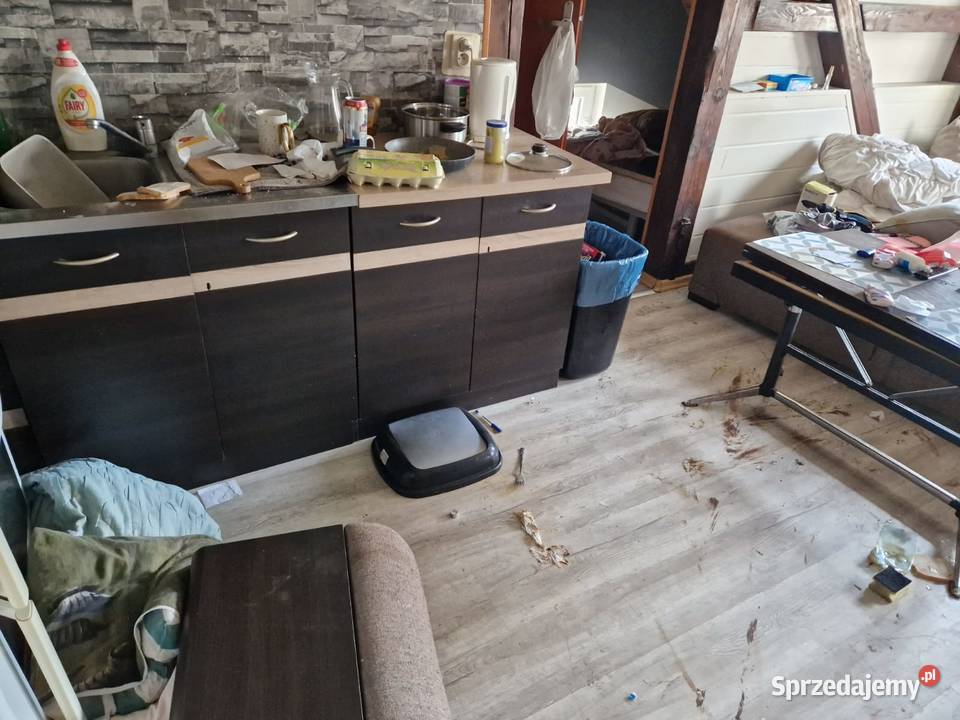 Likwidacje i opróżnianie mieszkań Będzin Vector