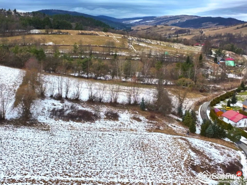 Grunt Turzańsk 2404m2 telefon sprzedam