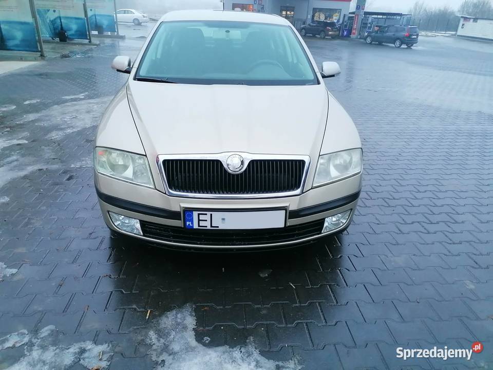 Skoda Octavia 2 291350km Konstantynów Łódzki sprzedam