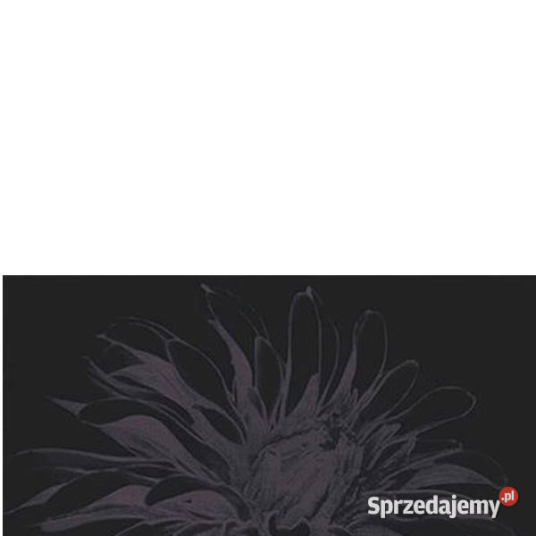 Dekor Apasionate nero A 30 x 60 Paradyż aktualne Białogard