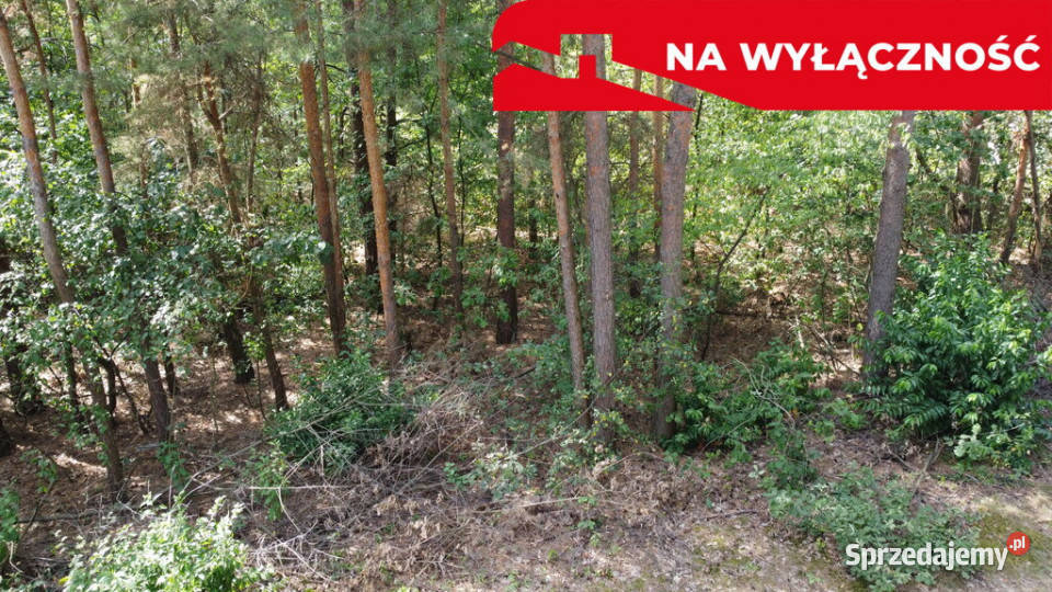 Działka letniskowa 800 m2 w Woli Chodkowskiej rekreacyjna Wola Chodkowska