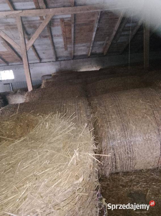 Sprzedam Siano i Słomę Sługi sprzedam