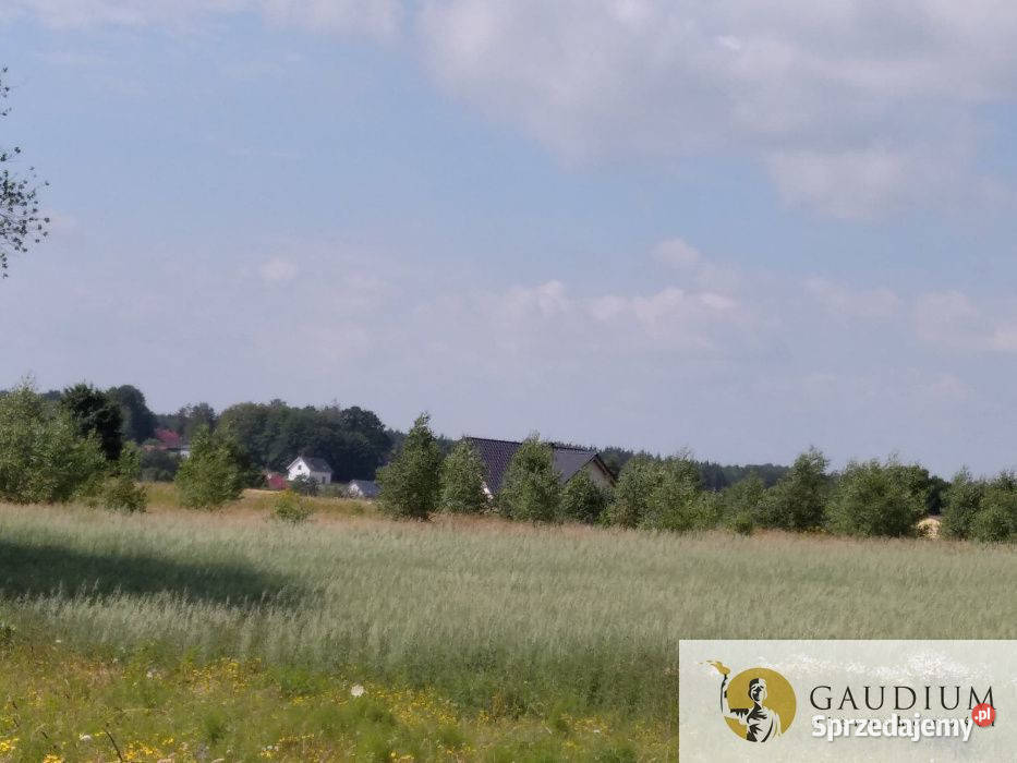 Działka budowlana w Przyjaźni media w drodze Przyjaźń