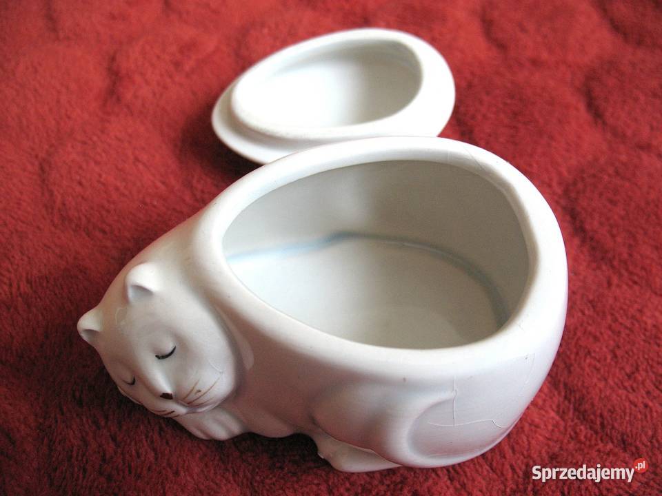 Kot mała szkatułka porcelana 5 x 8 x 5