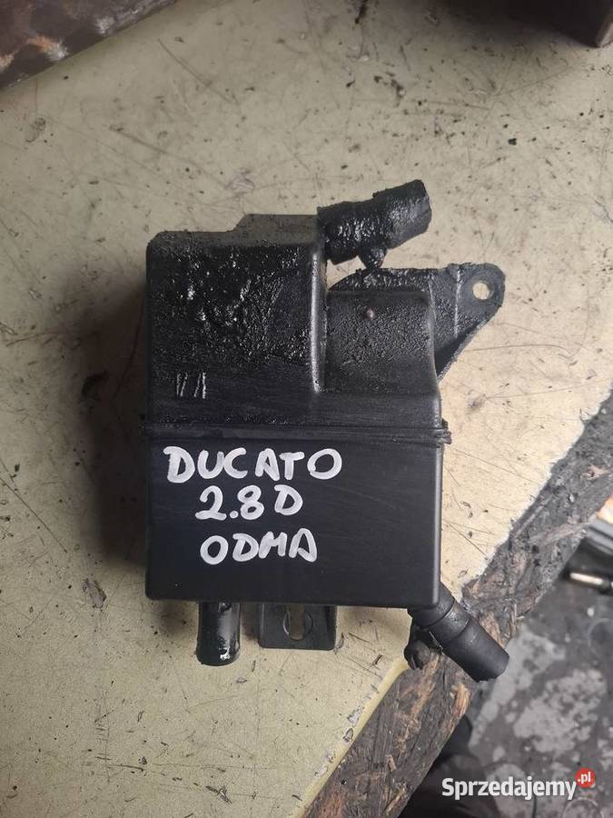 Fiat Ducato Jumper Boxer 25 D 28 D 28 JTD odma Kielce