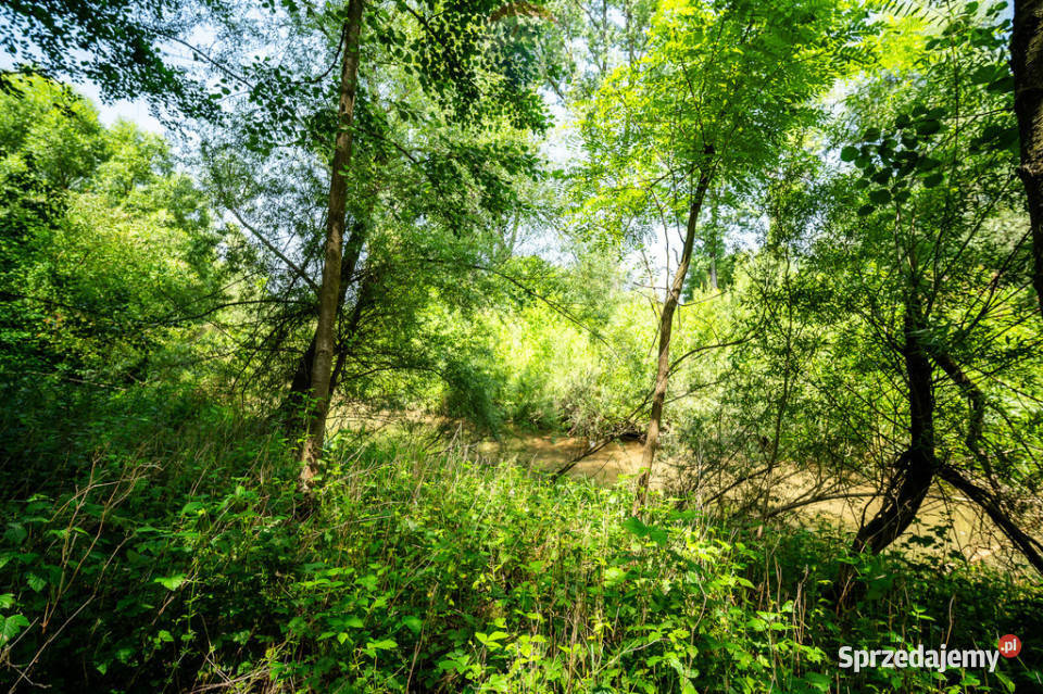 Dom siedlisko duża działka