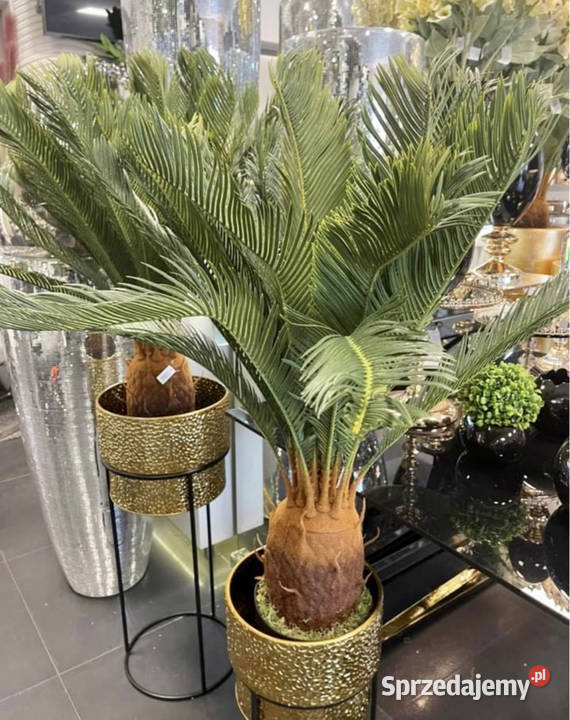 Sztuczna palma z kokosem Premium cykas 110 Golkowice