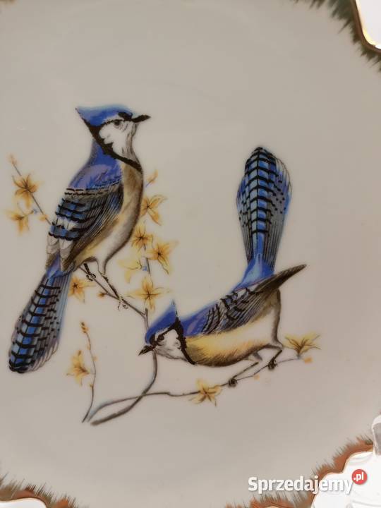 Talerz DEKORACYJNY MOTYW NATURY PIĘKNE PTAKI