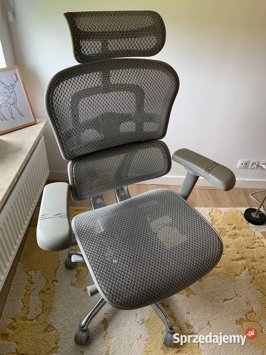 Fotel Ergohuman 2 Elite Pro GS Grey Warszawa