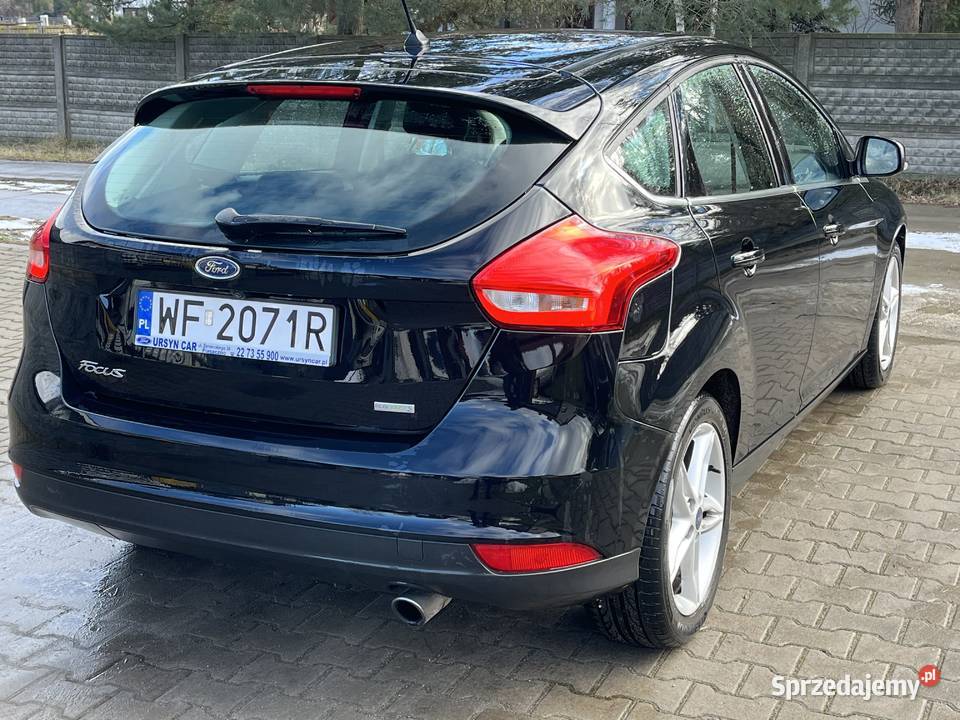 Focus Titanium Salon Polska Mińsk Mazowiecki