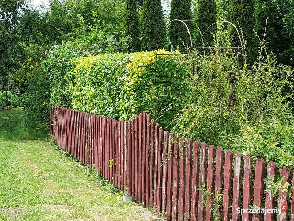 Działaka rekreacyjna ROD na Wieniawskiego Rzeszów