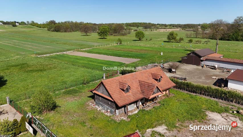 Grunt 13200m2 Dębina małopolskie
